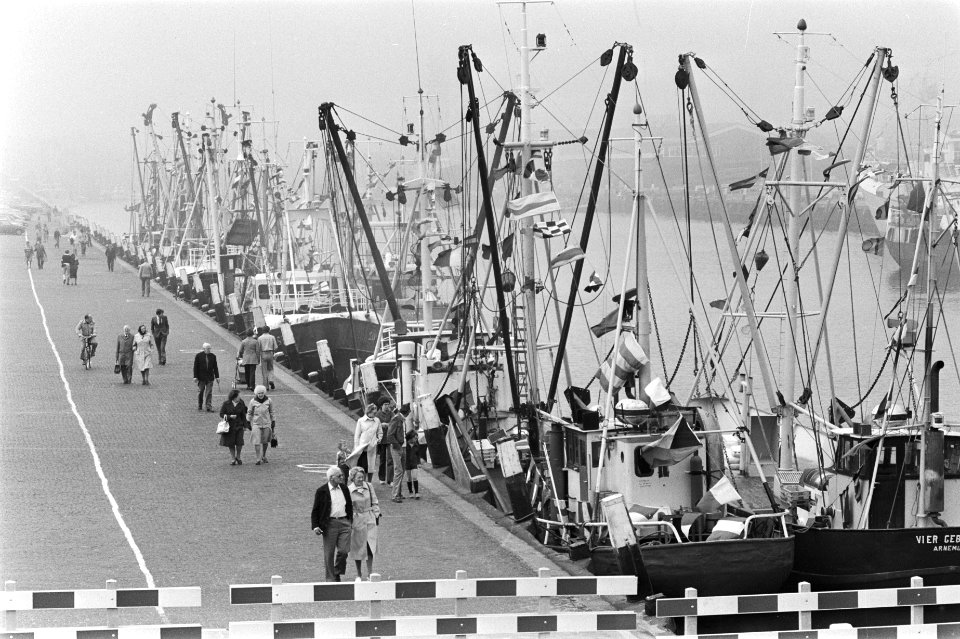 Vlaggetjesdag inn Scheveningen, Bestanddeelnr 929-7442