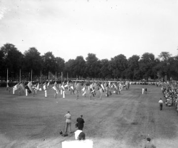 Vlaggenparade vierdaagse. Overzicht, Bestanddeelnr 903-5080