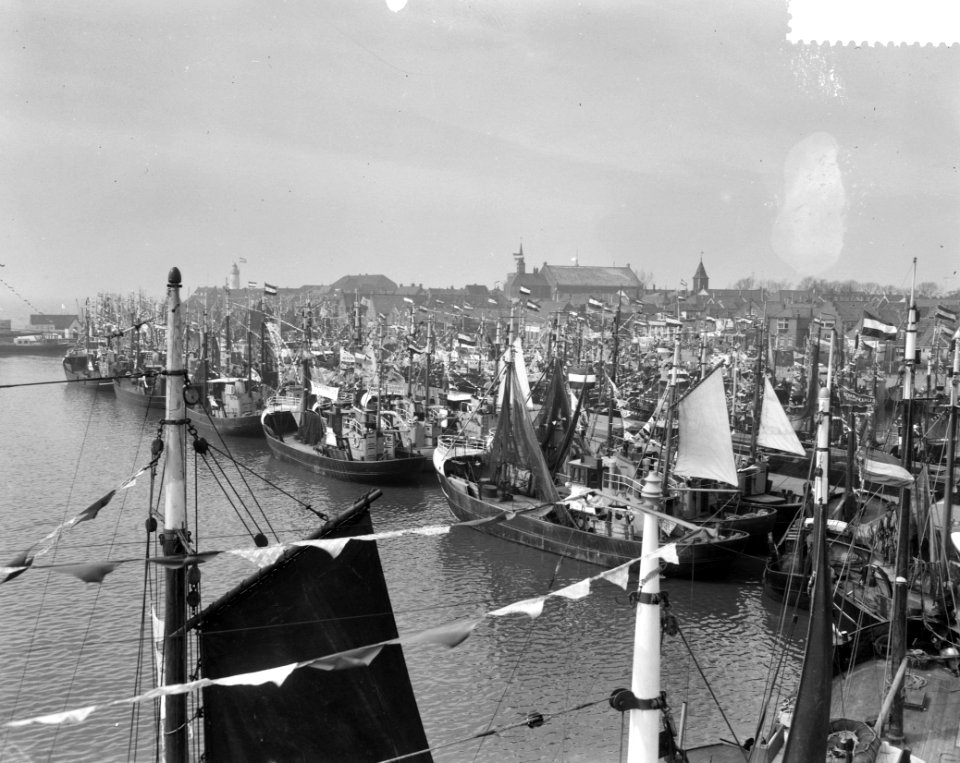Vlaggetjesdag op Urk, overzicht van de gepavioseerde vlot in de haven, Bestanddeelnr 911-1600