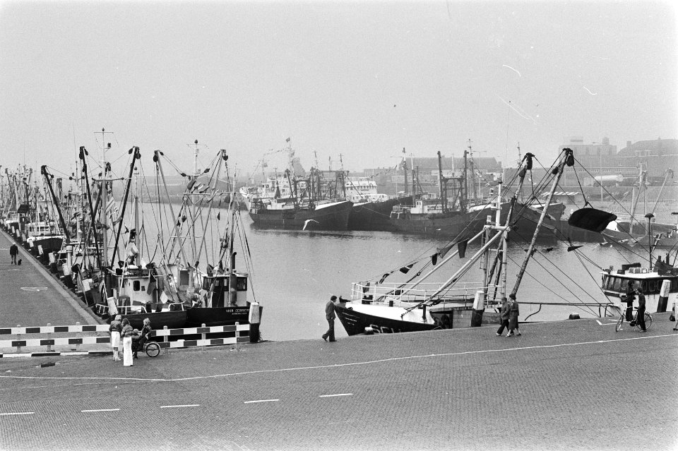 Vlaggetjesdag inn Scheveningen, Bestanddeelnr 929-7441