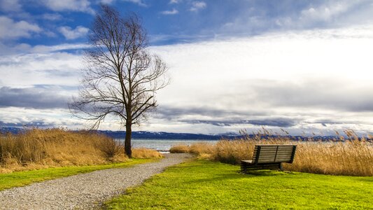 Grass panorama sky