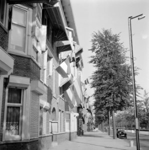 Vlaggenzee tijdens feestweek, Bestanddeelnr 255-7306