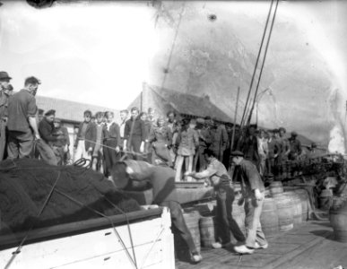 Vlaggetjesdag Scheveningen, Bestanddeelnr 934-6867