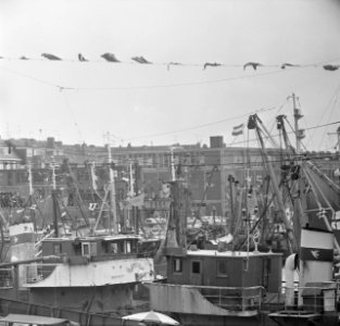 Vlaggetjesdag in Scheveningen, Bestanddeelnr 919-1815