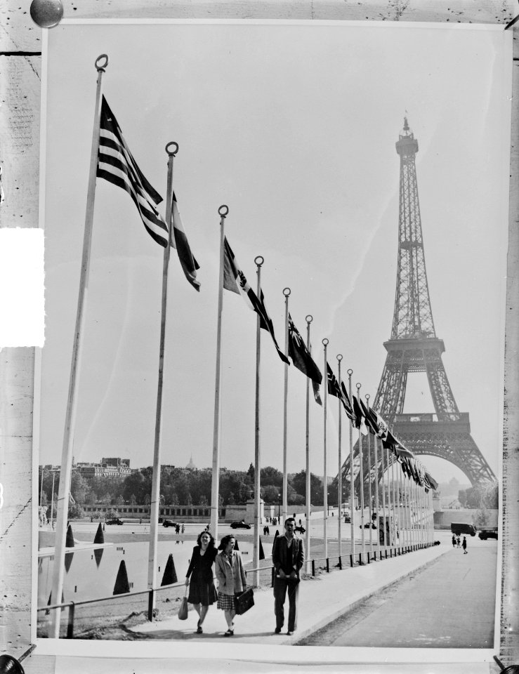 Vlaggen der Verenigde Naties rondom terrein UNO, Bestanddeelnr 903-0191