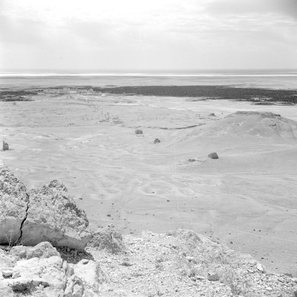 Vlakte nabij Palmyra, Bestanddeelnr 255-6134