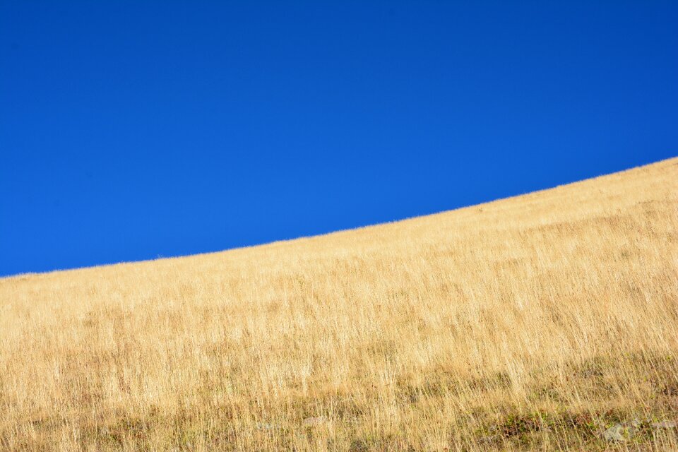 Green mountains landscape