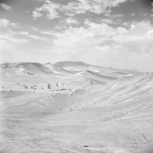 Vlakte nabij Palmyra, Bestanddeelnr 255-6137