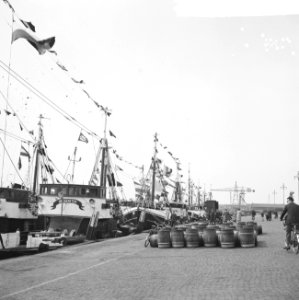 Vlaggetjesdag te Scheveningen, Bestanddeelnr 917-8003