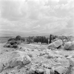 Vlakte van Jezreel gezien vanuit Megido in de richting van de Taborberg die zic…, Bestanddeelnr 255-4045