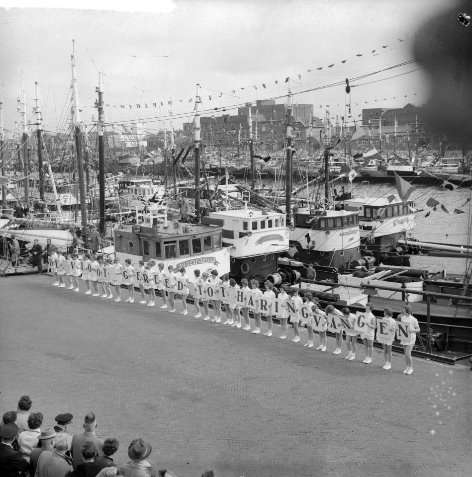 Vlaggetjesdag IJmuiden, Bestanddeelnr 912-5030