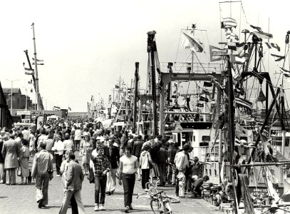 Vlaggetjesdag te IJmuiden. Aangekocht in 1982 van fotograaf C. de Boer. - Negatiefnummer 20835 k 25. - Gepubliceerd in het Haarlems Dagblad van 09.06.1981. Identificatienummer 54-012242, NL-HlmNHA 1478 25900 K 38