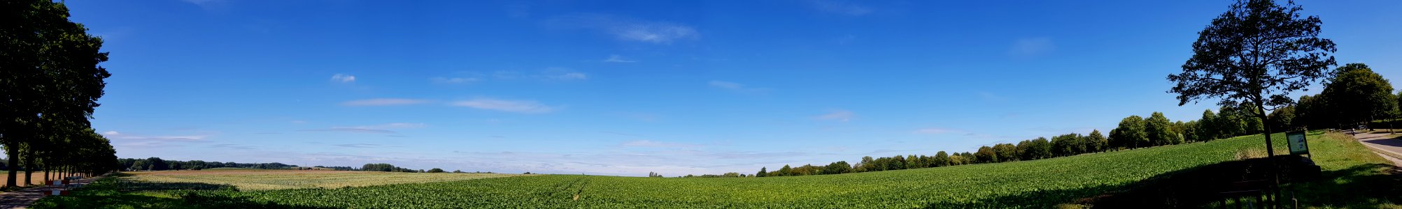 Voerendaal-Terrein ten noorden Steinweg (2)