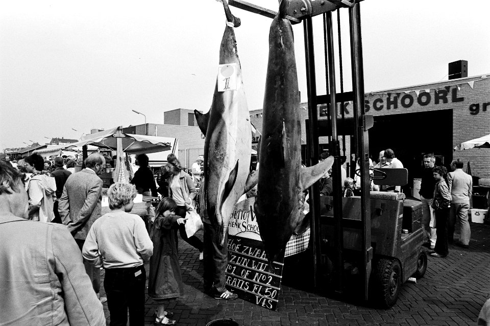 Vlaggetjesdag in IJmuiden, Bestanddeelnr 930-8673