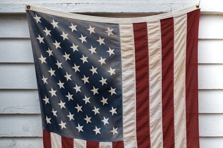 Freedom democracy blue