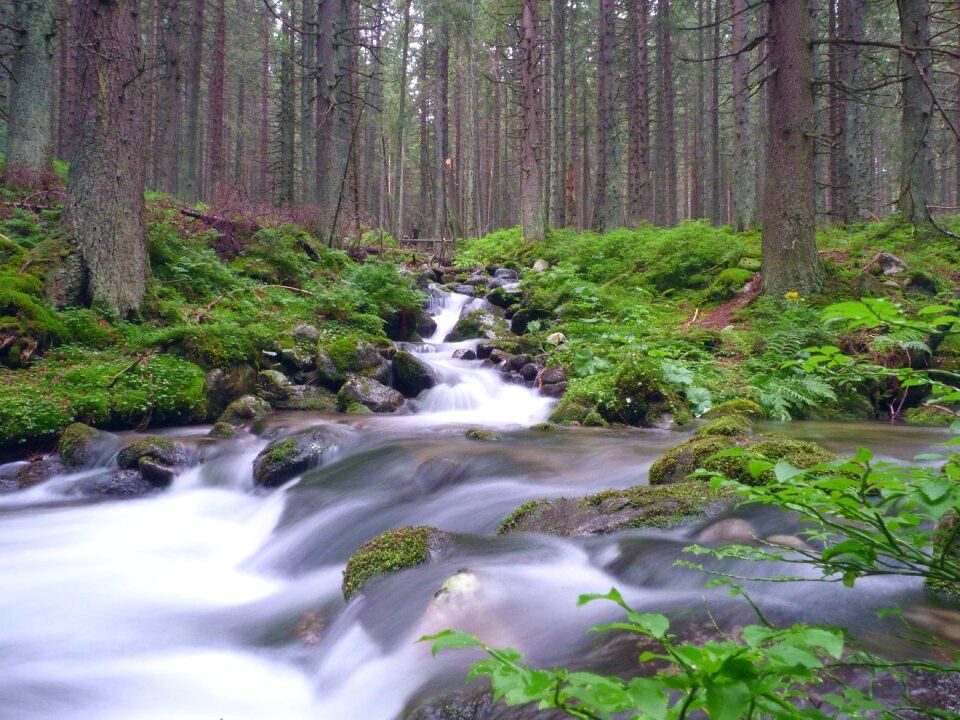 Landscape waterfall cascade