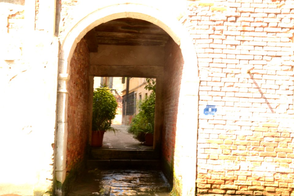 Venice Is My Future (161267303)