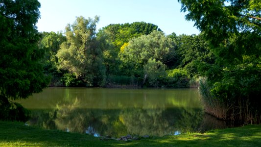 Wien 10 Kurpark Oberlaa Gänseteich a