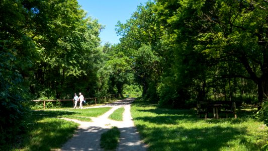 Wien 10 Laaer Wald e