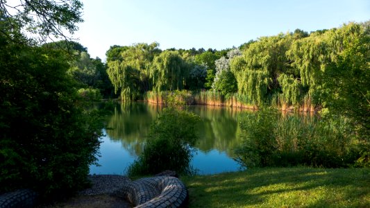 Wien 10 Kurpark Oberlaa Gänseteich b
