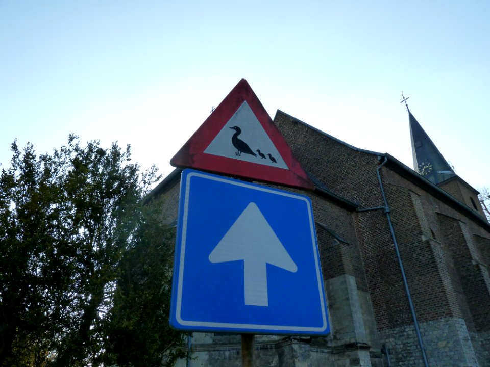 Wijnandsrade-Pas op voor overstekende eenden