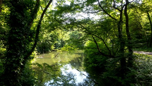 Wien 10 Kurpark Oberlaa Filmteich h