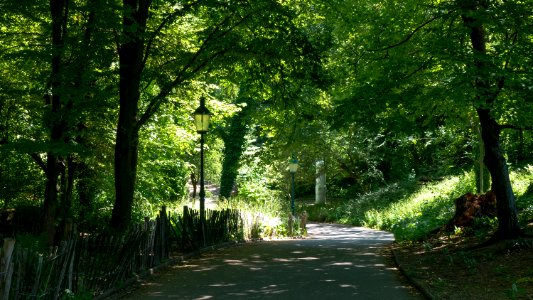 Wien 10 Kurpark Oberlaa Filmteich a