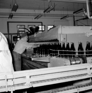 Wijnbedrijf Carmel Mizrachi Wineries te Rishon le Zion Arbeider aan de lopende…, Bestanddeelnr 255-4866