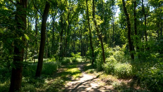 Wien 10 Laaer Wald a