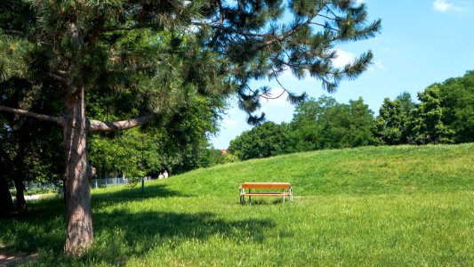 Wien 10 Otto-Benesch-Park a