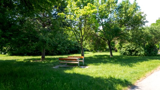Wien 10 Otto-Benesch-Park b