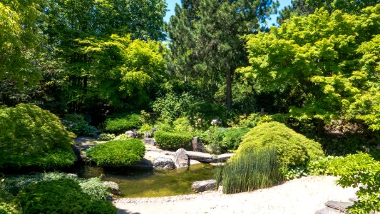 Wien 10 Kurpark Oberlaa Japanischer Garten a