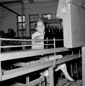 Wijnbedrijf Carmel Mizrachi Wineries te Rishon le Zion Arbeidster aan een lope…, Bestanddeelnr 255-4870