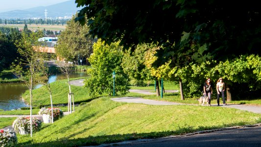 Wien 10 Kurpark Oberlaa Kurgarten k