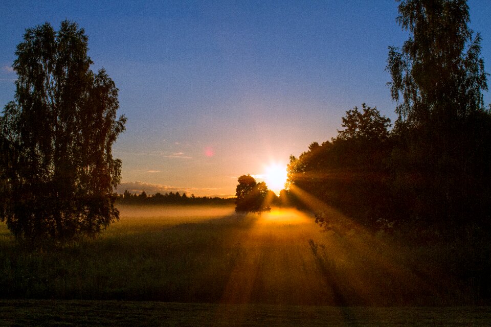 Sun summer sunlight photo