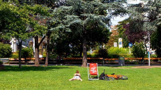 Wien 09 Sigmund-Freud-Park i