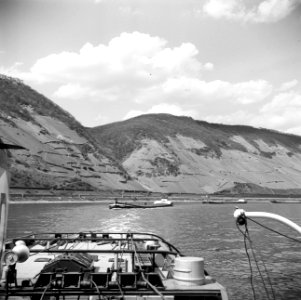 Wijnbergen aan de Rijn ter hoogte van Boppard, Bestanddeelnr 254-1090