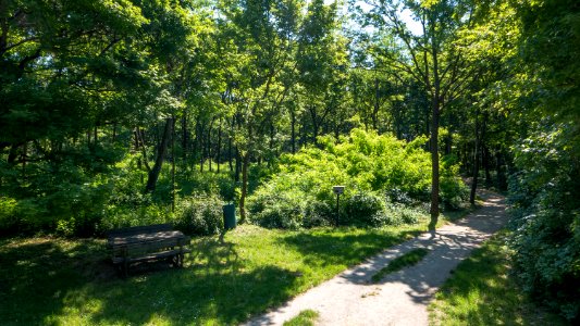 Wien 10 Laaer Wald c