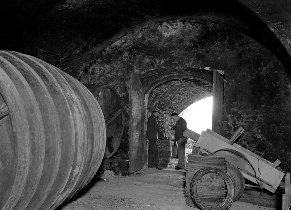 Wijn proeven in de kelder van Caves du Chateau de la Chaize, Bestanddeelnr 191-0320