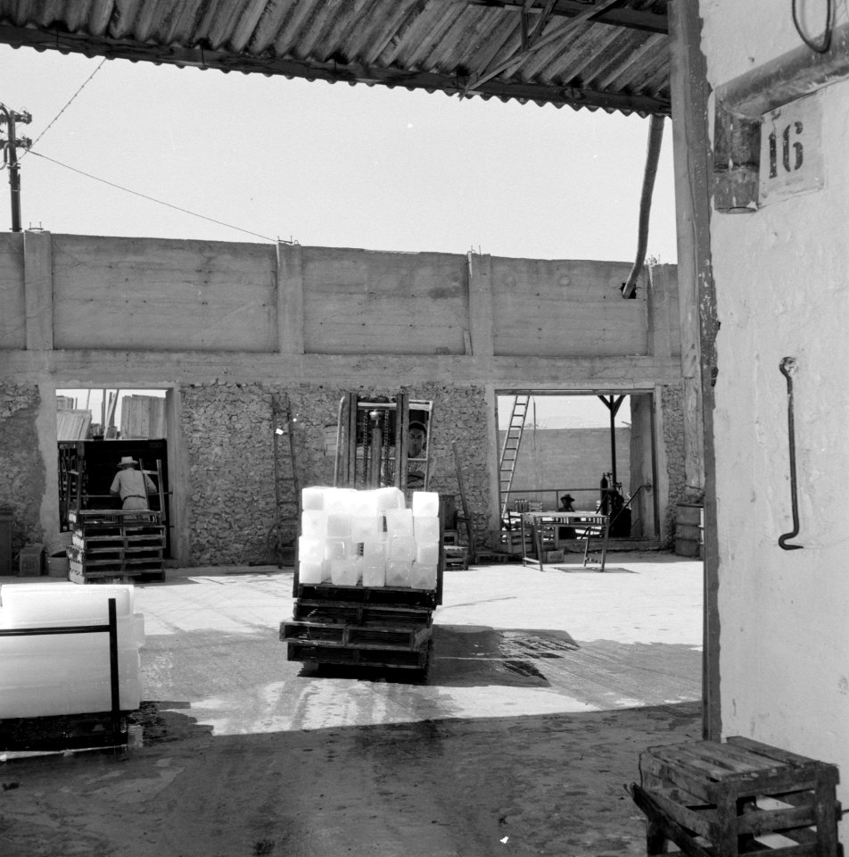 Wijnbedrijf Carmel Mizrachi Wineries te Rishon le Zion Heftruck met ijsblokken , Bestanddeelnr 255-4860
