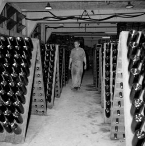 Wijnbedrijf Carmel Mizrachi Wineries te Rishon le Zion De champagnekelder met r, Bestanddeelnr 255-4882