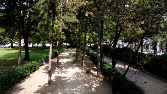 Wien 09 Arne-Carlsson-Park c