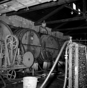 Wijnbedrijf Carmel Mizrachi Wineries te Rishon le Zion Installaties in de bedri, Bestanddeelnr 255-4857