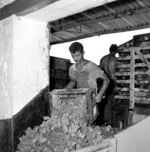Wijnbedrijf Carmel Mizrachi Wineries te Rishon le Zion Arbeiders bezig met het , Bestanddeelnr 255-4849