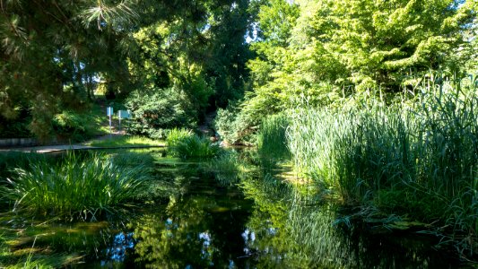 Wien 21 Denglerpark c