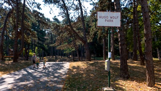 Wien 19 Hugo-Wolf-Park a