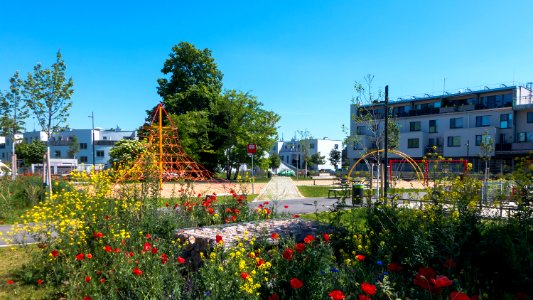 Wien 21 Alma-Rosé-Park b