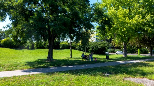 Wien 21 Donauschwabenpark a