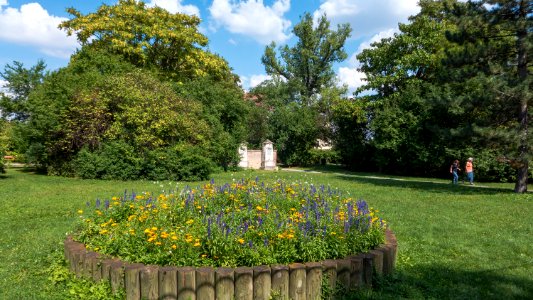 Wien 19 Strauss-Lanner-Park c