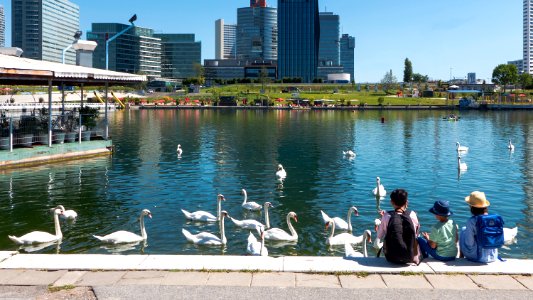 Wien 22 Donauinsel k